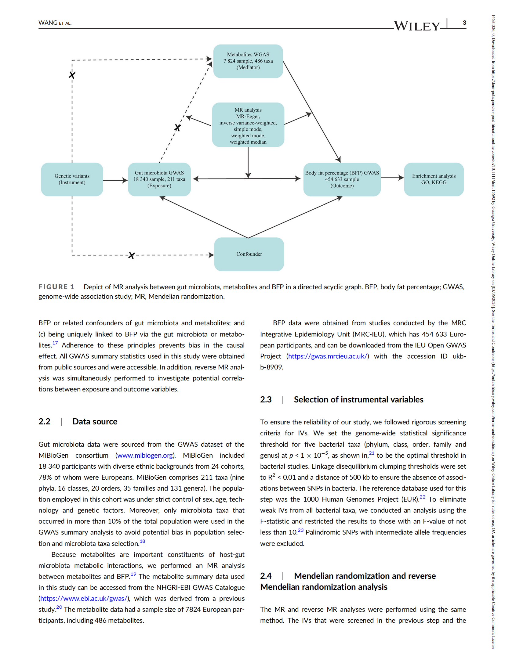 Exploring causal effects of gut microbiota and metabolites on body fat percentage using two-sample Mendelian randomization_03.png