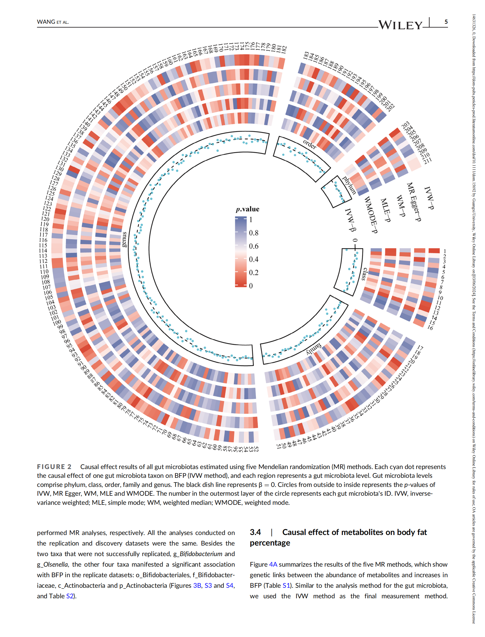 Exploring causal effects of gut microbiota and metabolites on body fat percentage using two-sample Mendelian randomization_05.png