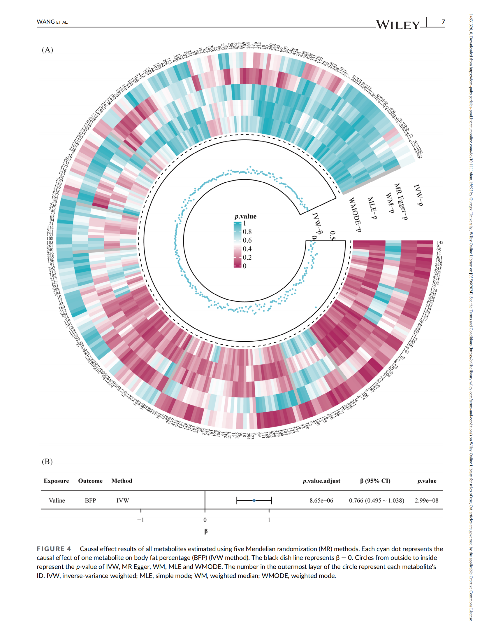 Exploring causal effects of gut microbiota and metabolites on body fat percentage using two-sample Mendelian randomization_07.png
