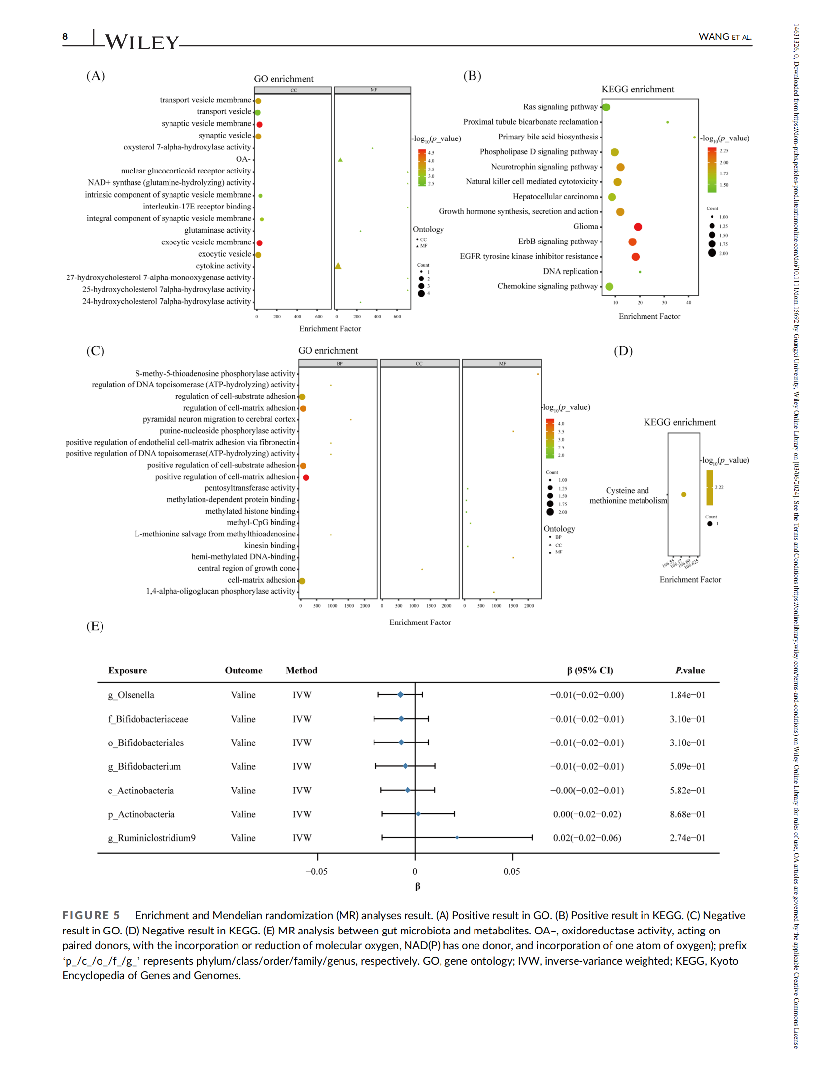 Exploring causal effects of gut microbiota and metabolites on body fat percentage using two-sample Mendelian randomization_08.png